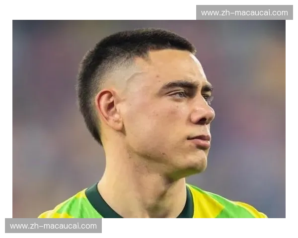 刘易斯·米勒跟腱断裂接受手术，澳大利亚官方确认无缘世界杯